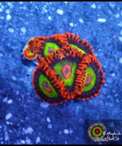 Morph emerald on fire