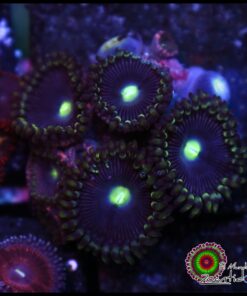 Eclipse esmeralda